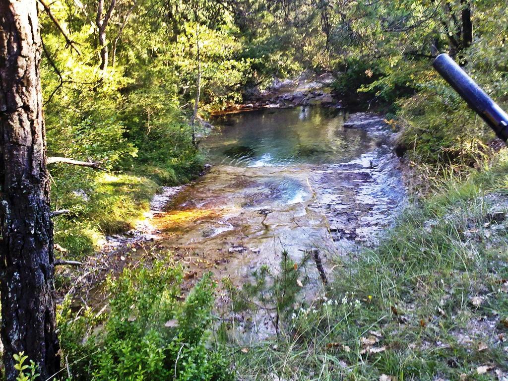 Camping L'Espelt La Pobla de Lillet Ngoại thất bức ảnh